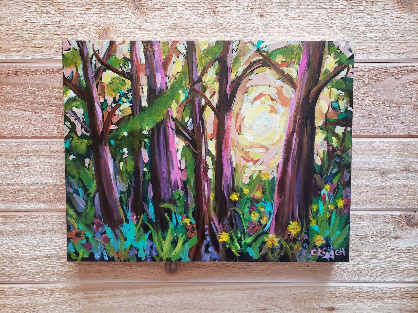 Kandie's Forest