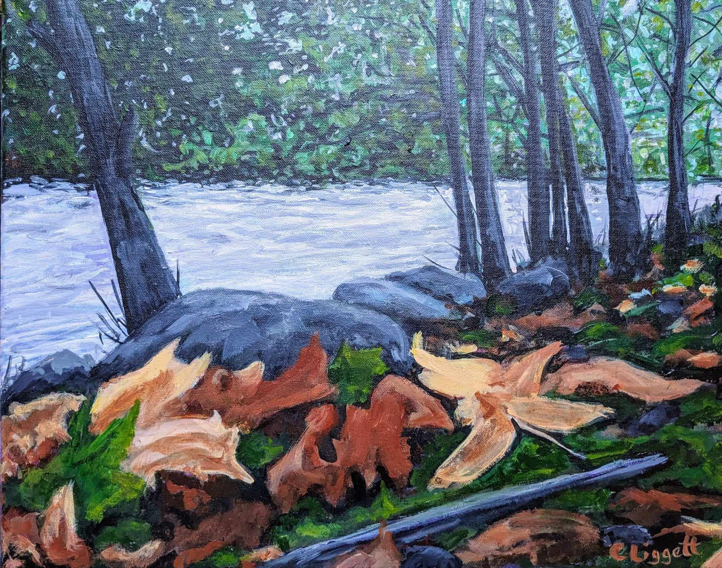 Fantasy Forest