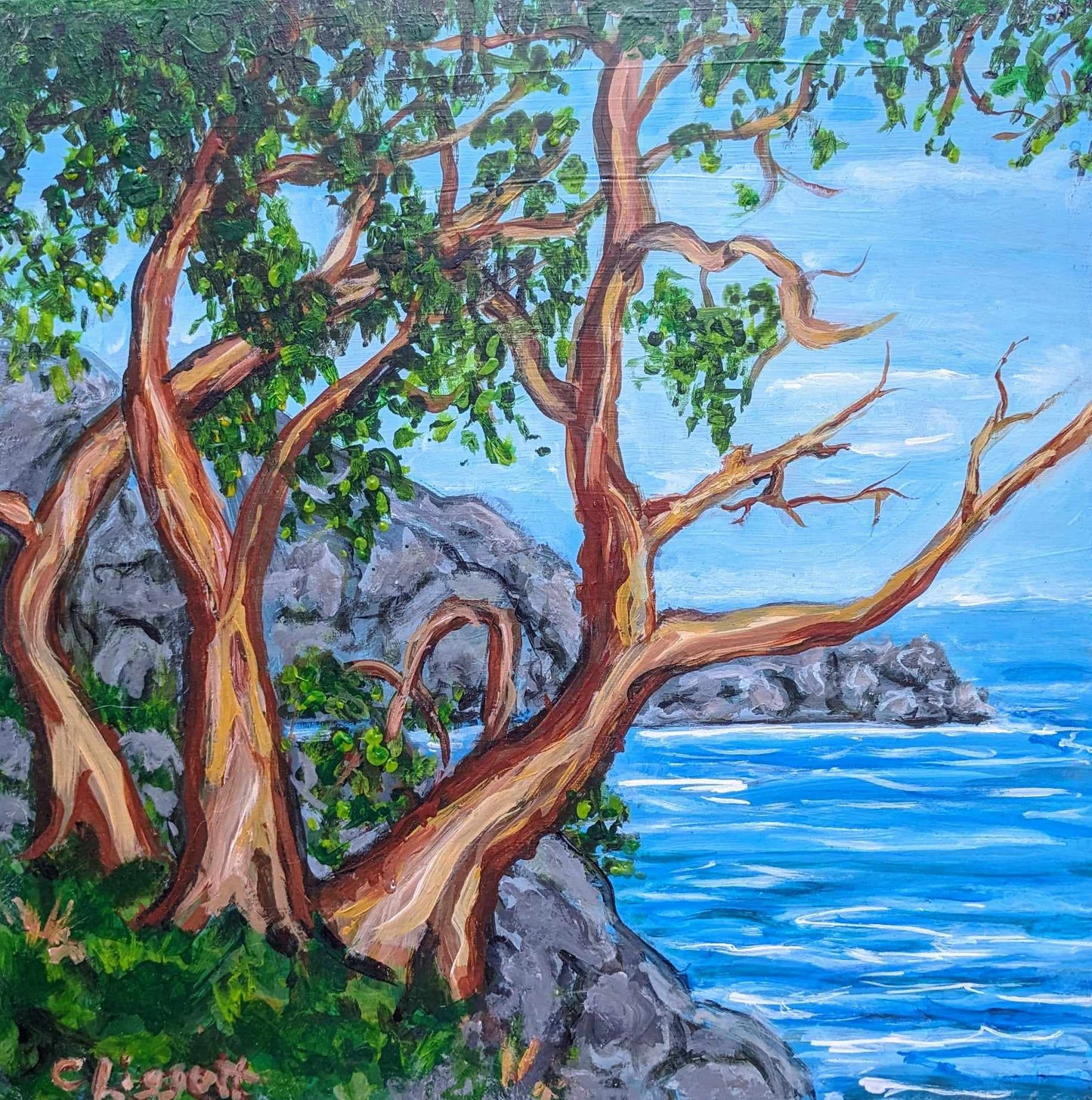Lighthouse Park