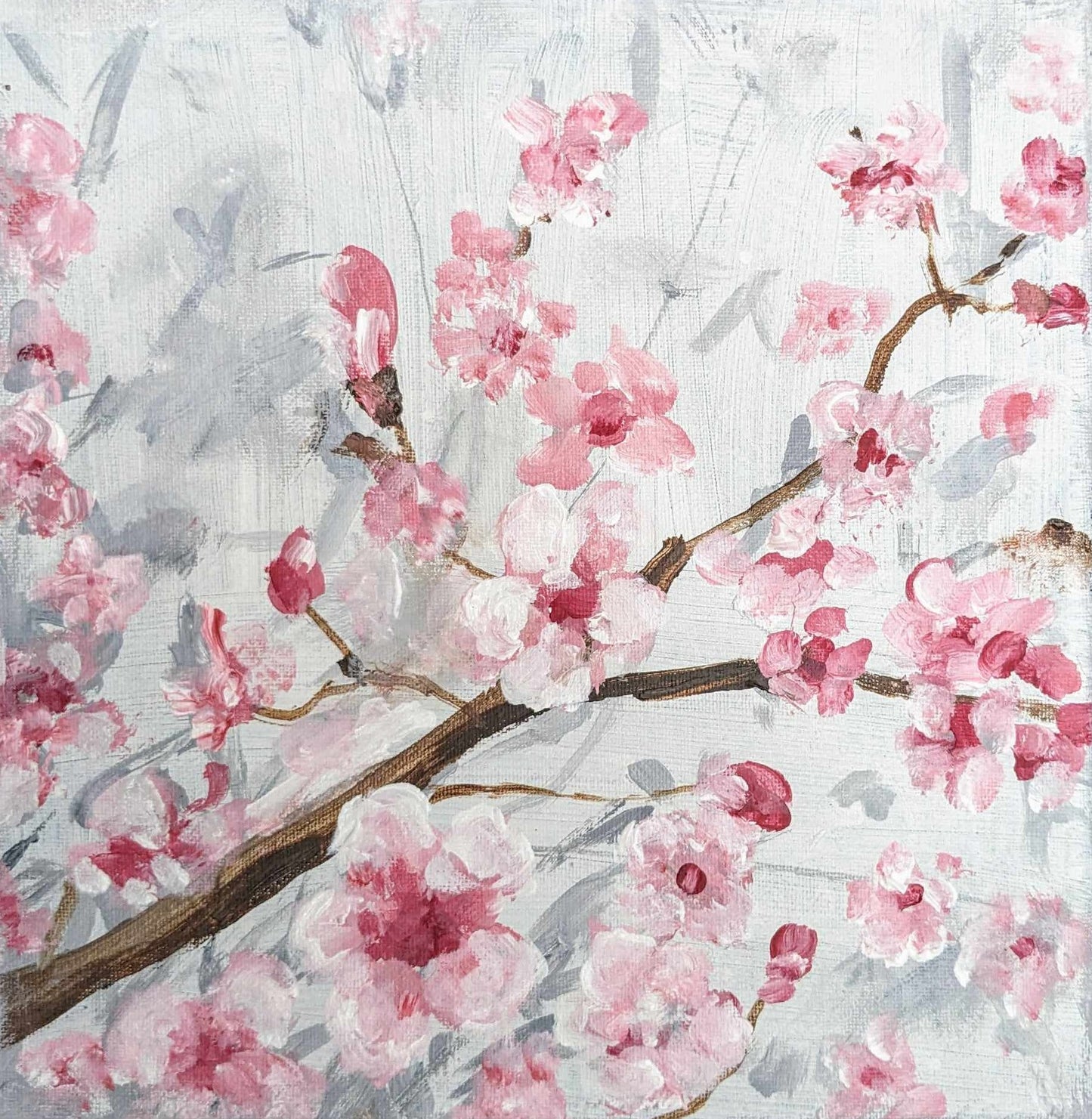 Cherry Blossom